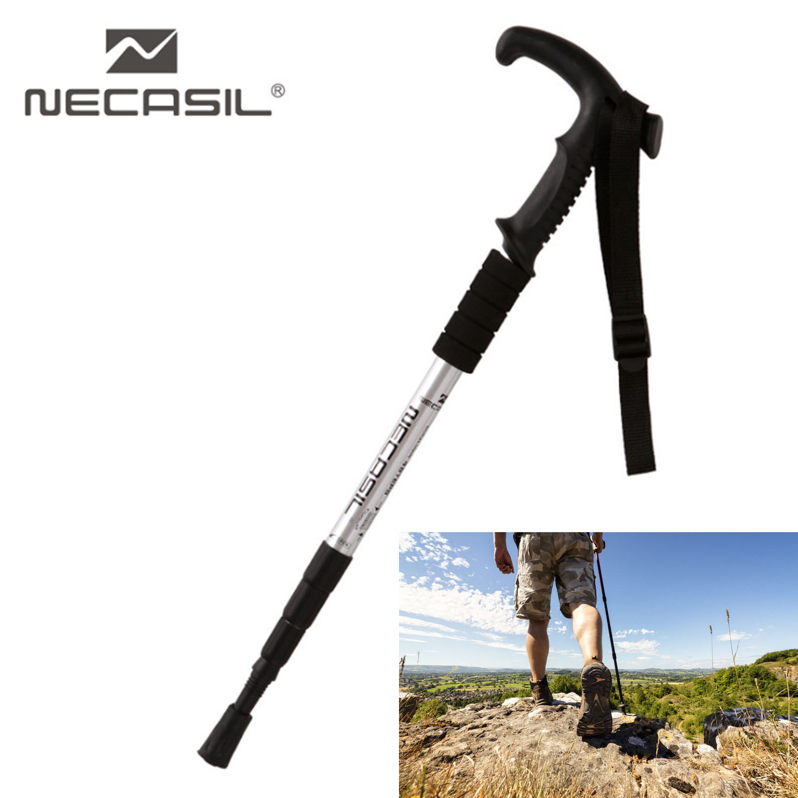necasil walking stick