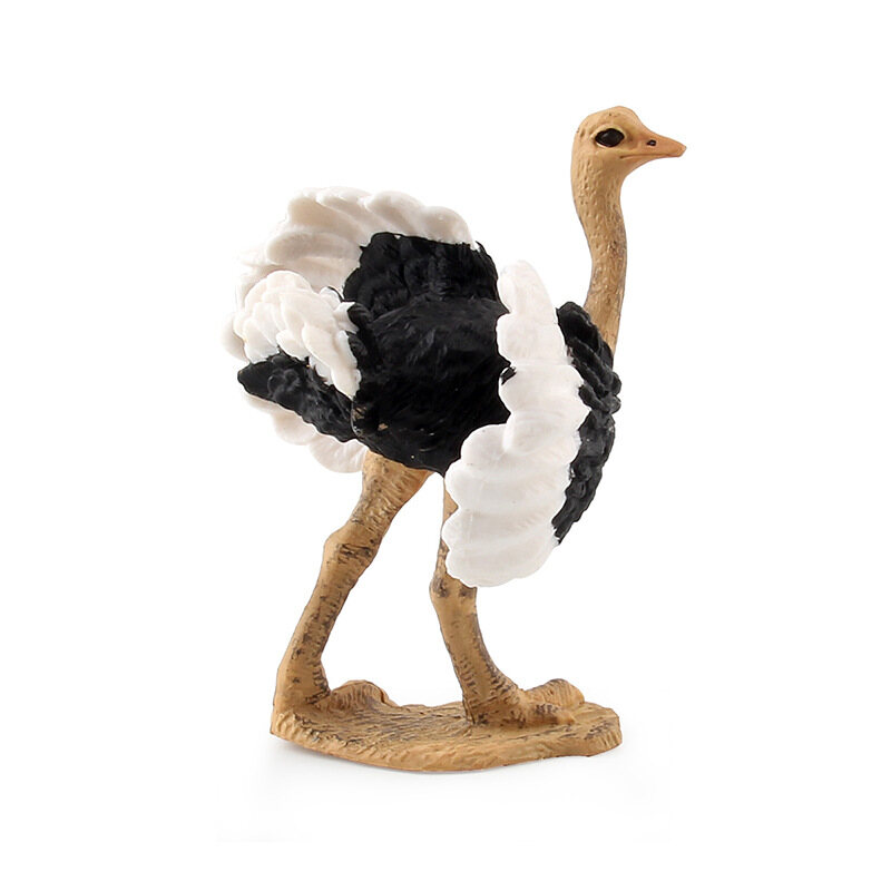 Children's Science and Education Cognitive Bird Model Simulation African Ostrich Solid Bird Farm Static Ornaments PVC Miniature Collection Toys Educational Kids Toy Toys for Boys Toys for Girls