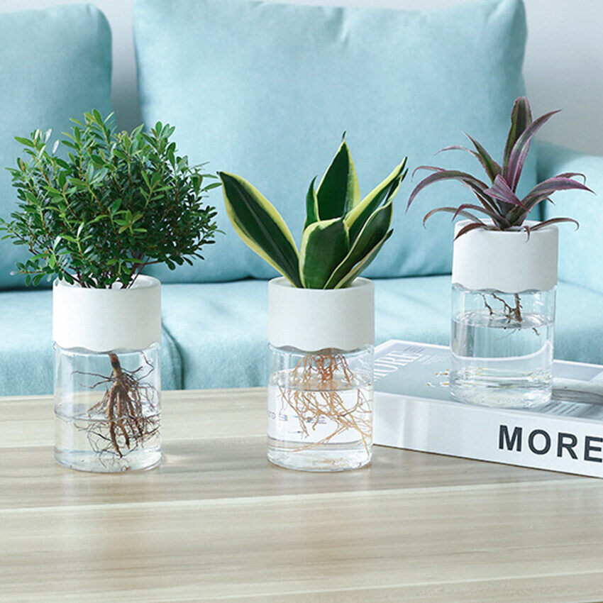 Transparent Hydroponic Flower Pot Water Planting Vase Container Plastic Tabletop Plants Bonsai Home Decoration