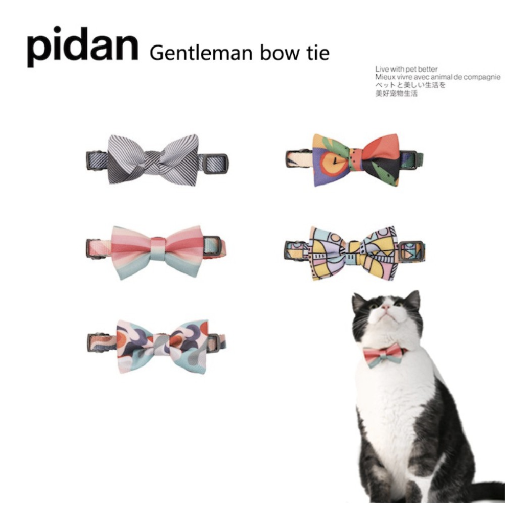 comfortable cat collar