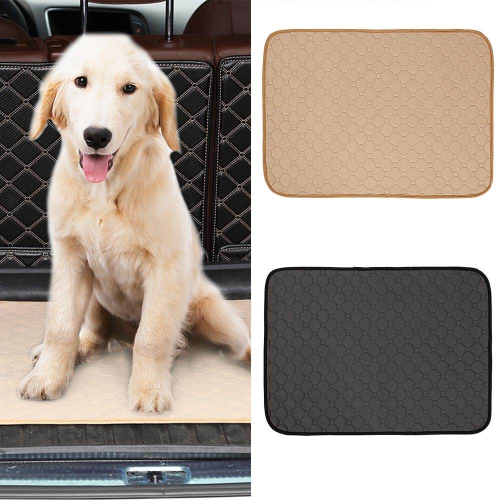 pug dressed as turkey