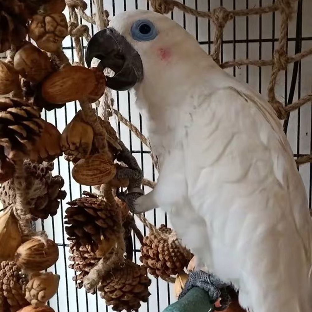 Pet Bird Parrot Nut Pine Cone Mesh Hanging Cage Swing Play Chew Interactive Toy