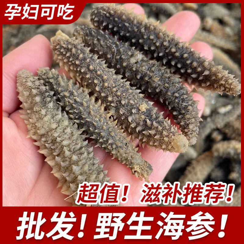 Wild dried sea cucumber! Black sea cucumber fresh sea cucumber dried goods nonDalian sea