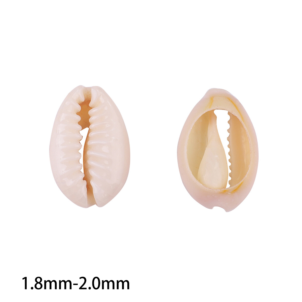 20pcs Natural Sea Shell Conch Loose Beads For Home Decoration DIY Earring Bracelet Craft Pendant Jewelry Making Accessories