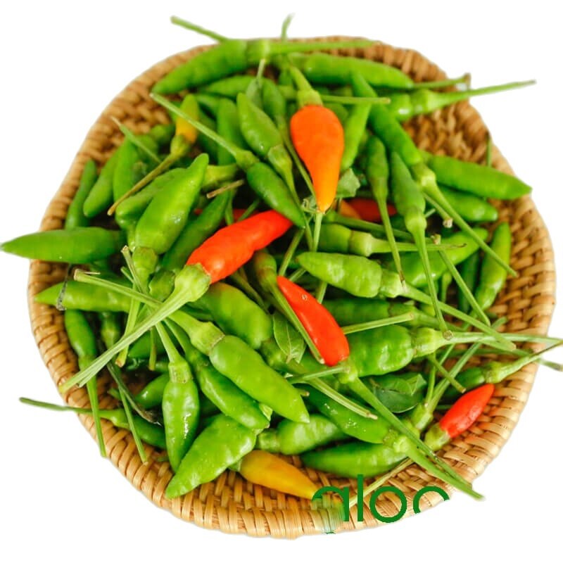 Hạt giống ớt xiêm siêu cay sai quả dễ trồng 50 hạt