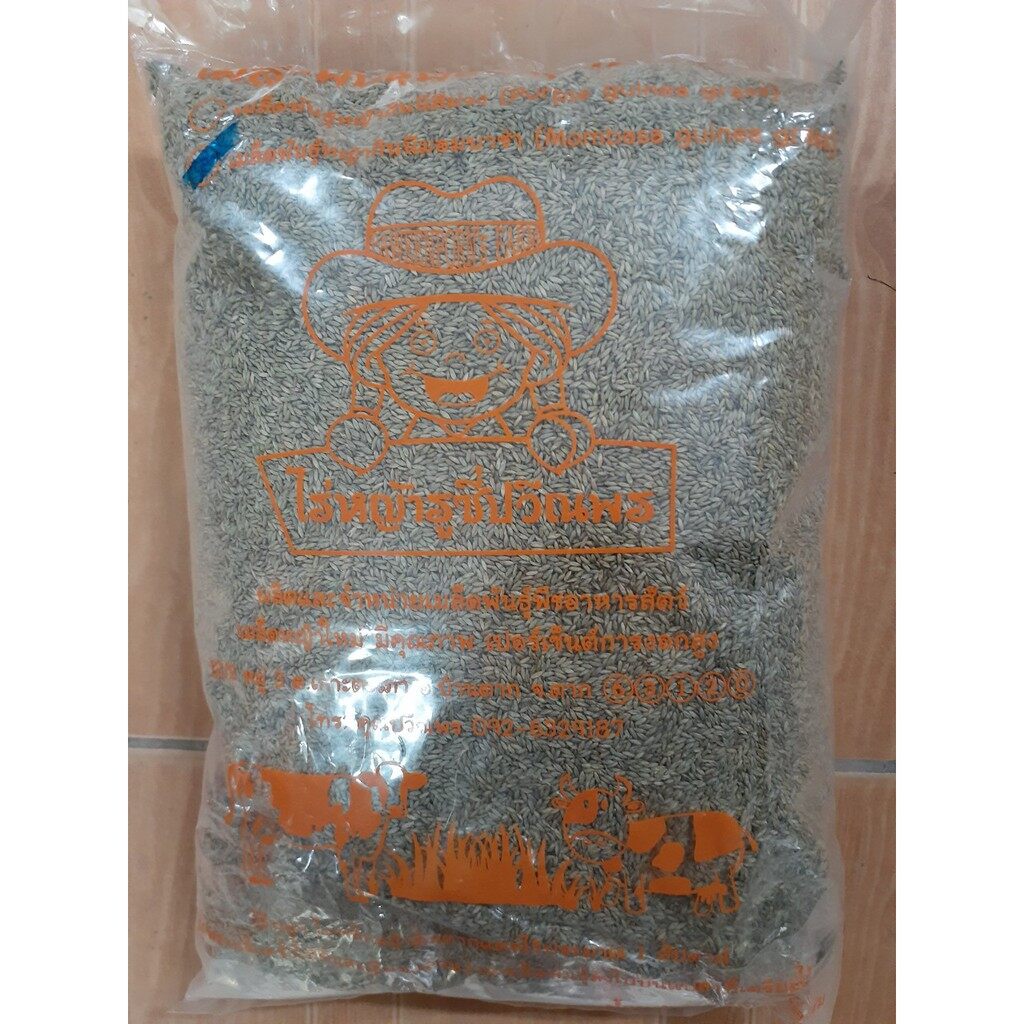 Hạt giống cỏ Mombasa ghine - cỏ sả lá lớn nhập nguyên túi của Thái Lan