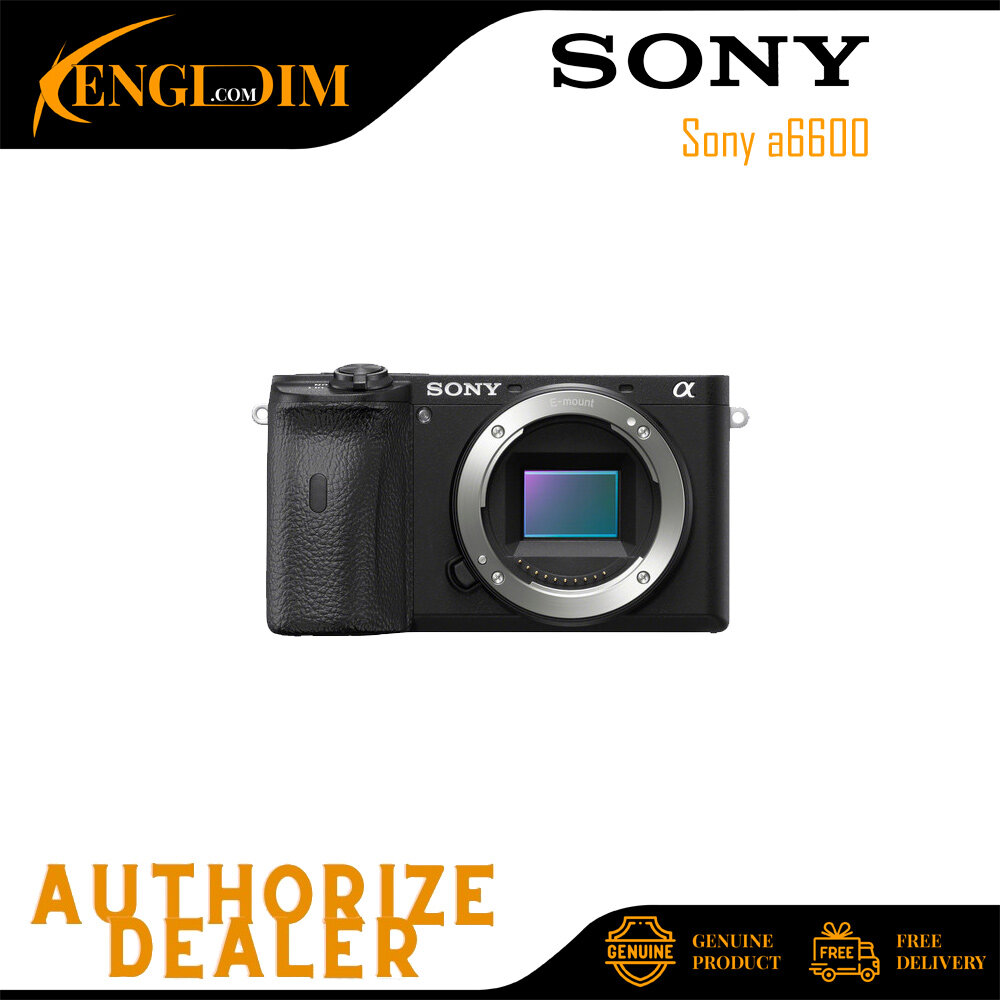 sony a6600 mirrorless digital camera