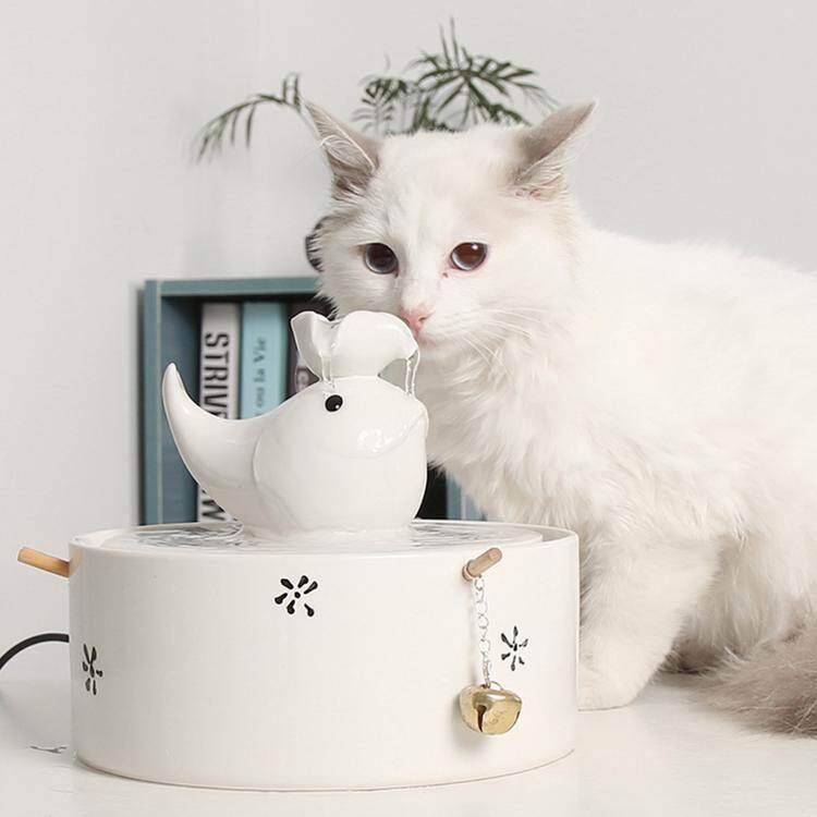 automatic cat fountain