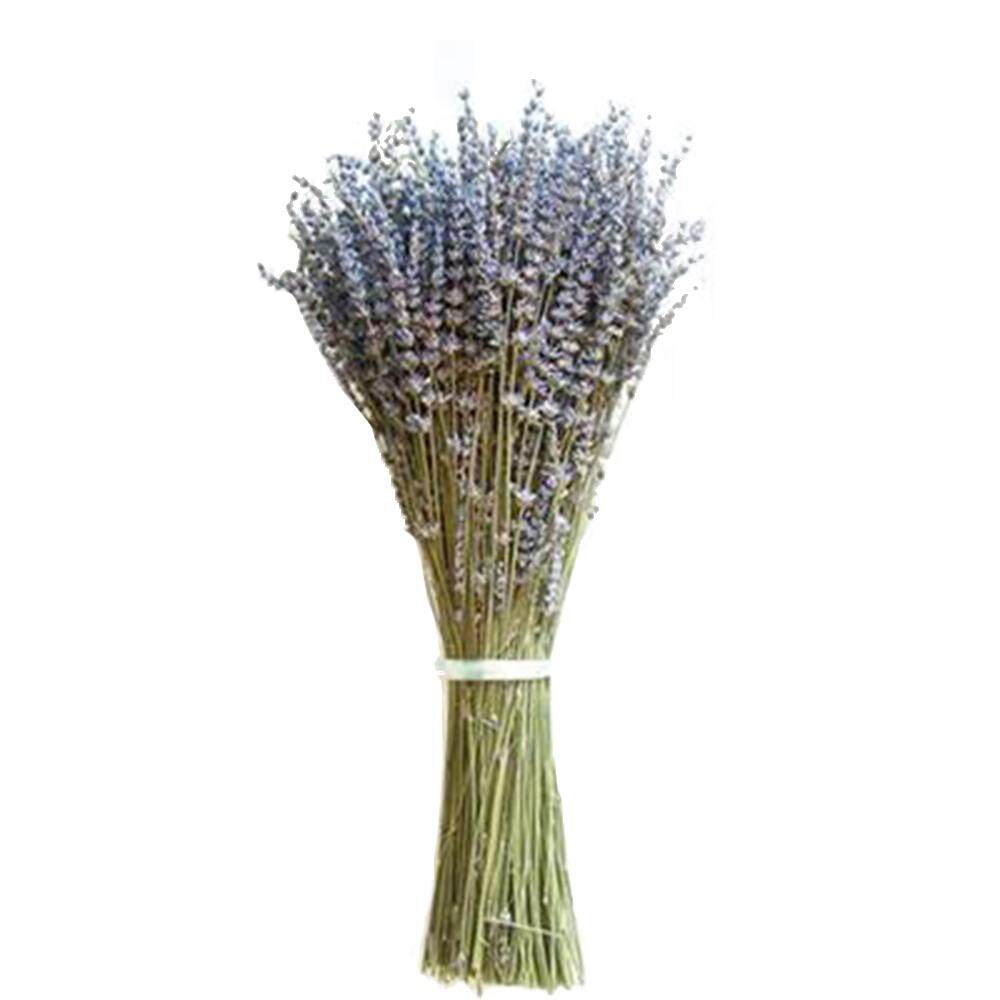20pcs//Bunch Natural Dried Flower Berry Stem Rattan Home Wedding Flower Decors