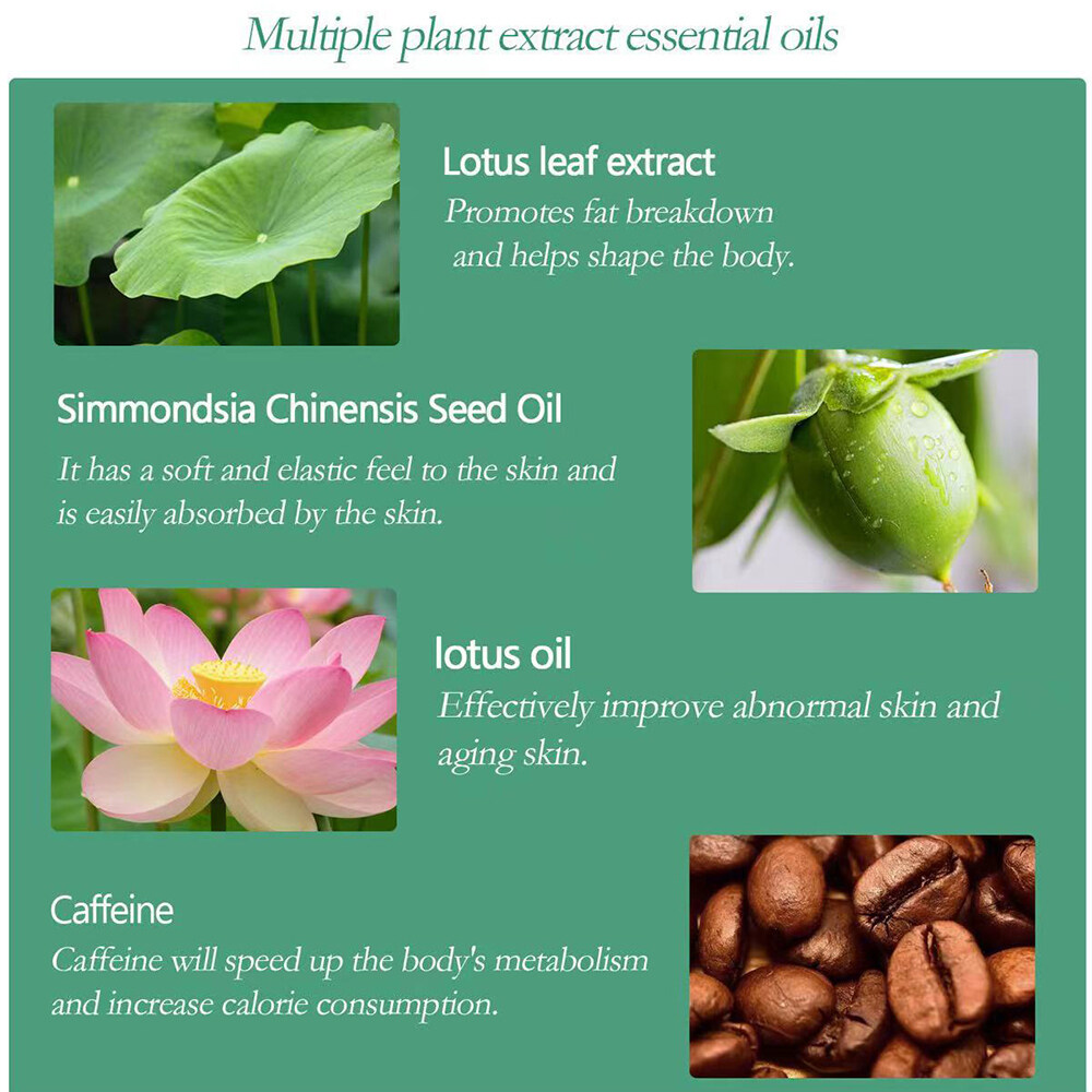 Lotus Leaf Slimming Body Sculpting Essence นวด Body Shaping Slimming