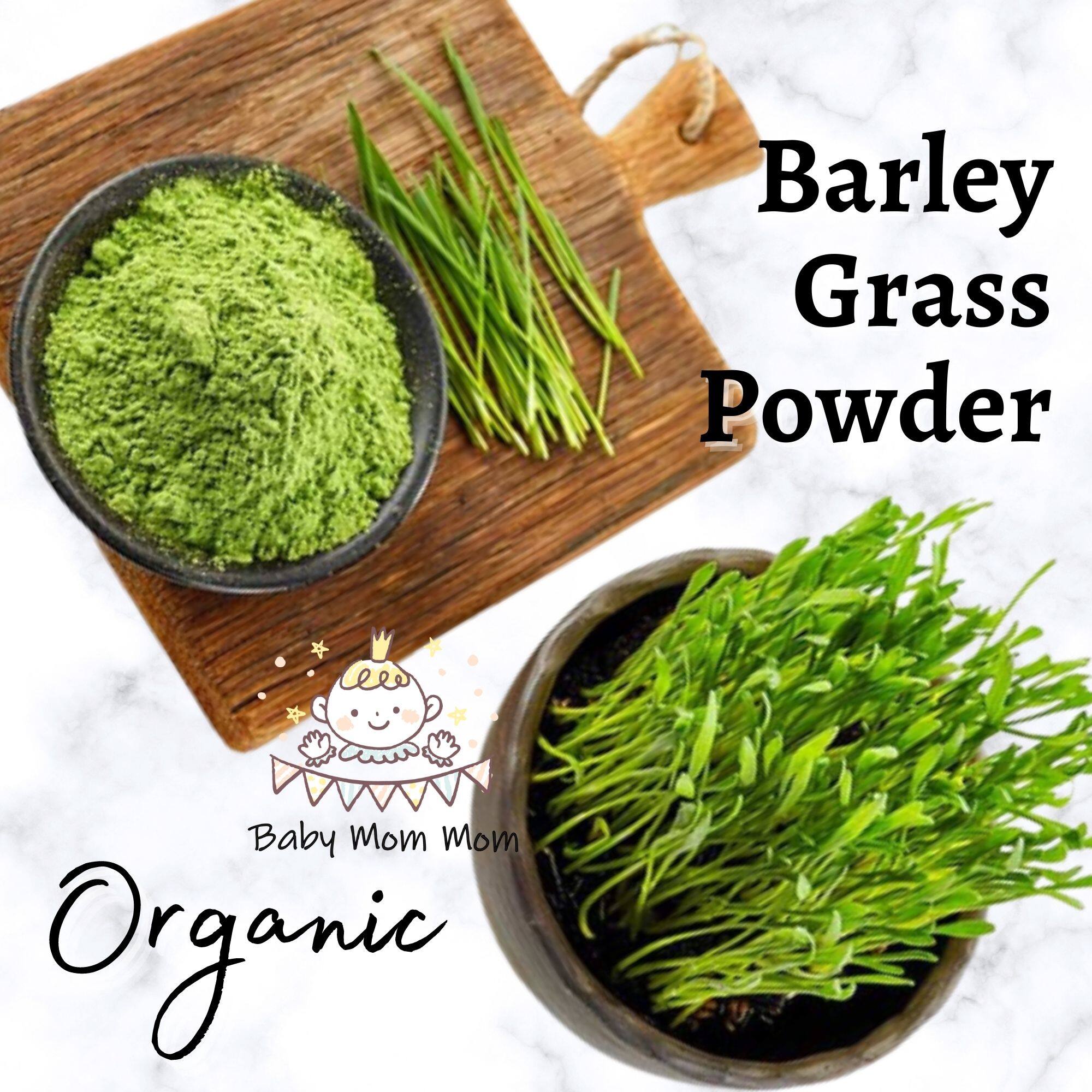 Barley Grass Powder 1KG 纯天然大麦草粉 Plant Tea Powder 大麦若叶青汁粉 Lazada