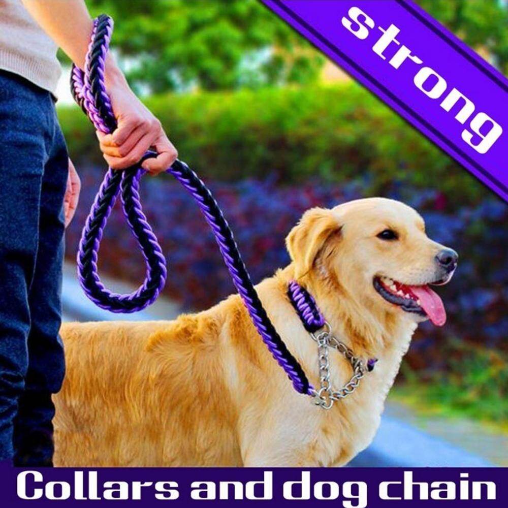 outdoor dog collars