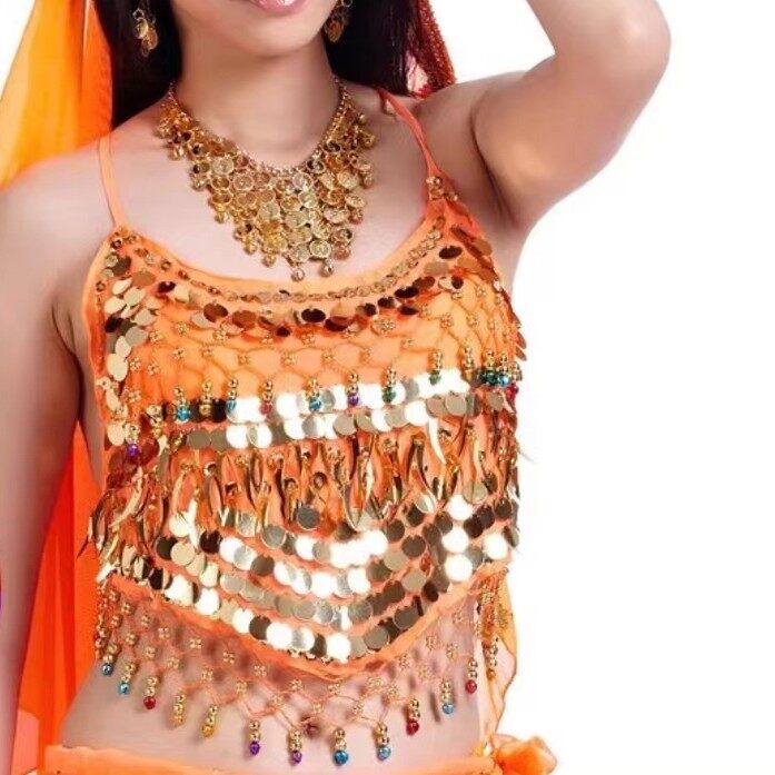 Belly Dance Performance Clothes Top Dance Clothes Indian Dance Sequins Bra Stage Performance Clothes