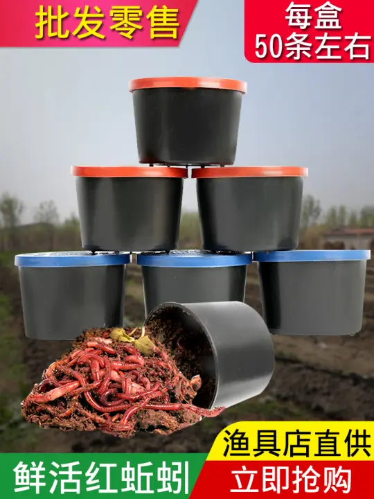 Buy live earthworms Clearance
