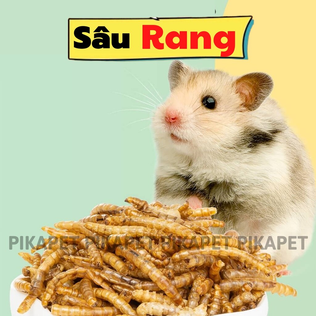Thức ăn đặc biệt, các loại hạt ngon cho Hamster(Thức ăn trộn 200g)