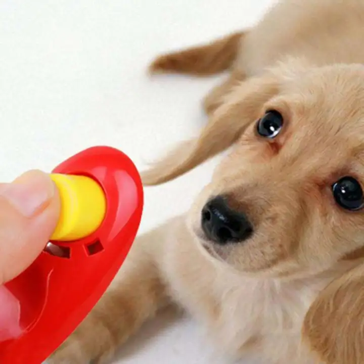 1 Pcs Universal Binatang Peliharaan Anjing Clicker Latihan