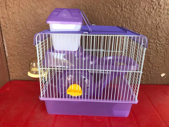 diy sangkar hamster