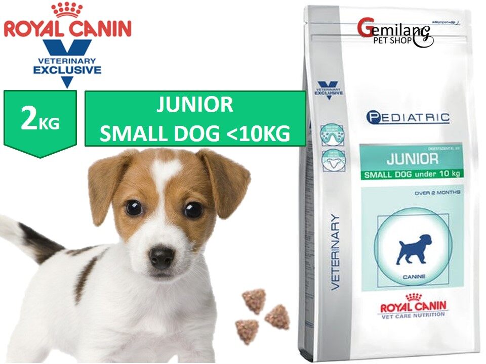 royal canin junior small