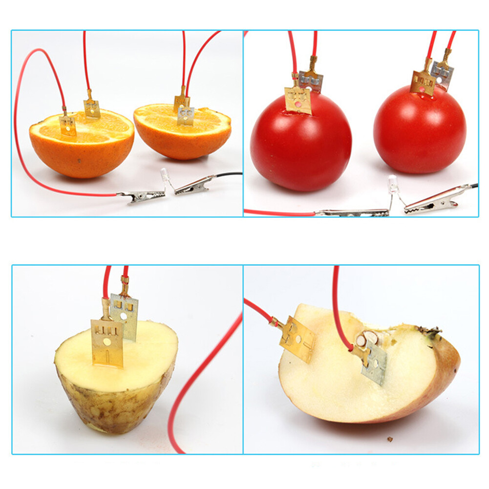 Fruit Battery Light Diode Generator Science Experiment Kit Student Education Toy
