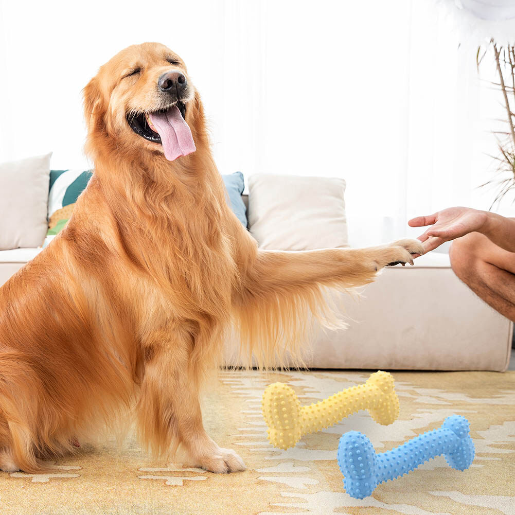 Njt Durable Pet Toys Molar Tooth Cleaner Brushing Stick Dog Chew