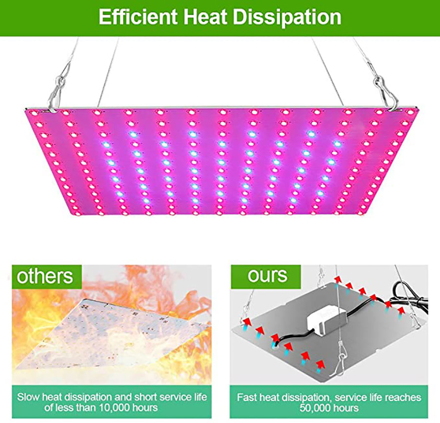 1000W Grow Light Led Full Spectrum Lamp Led Plant Light Bulb ...
