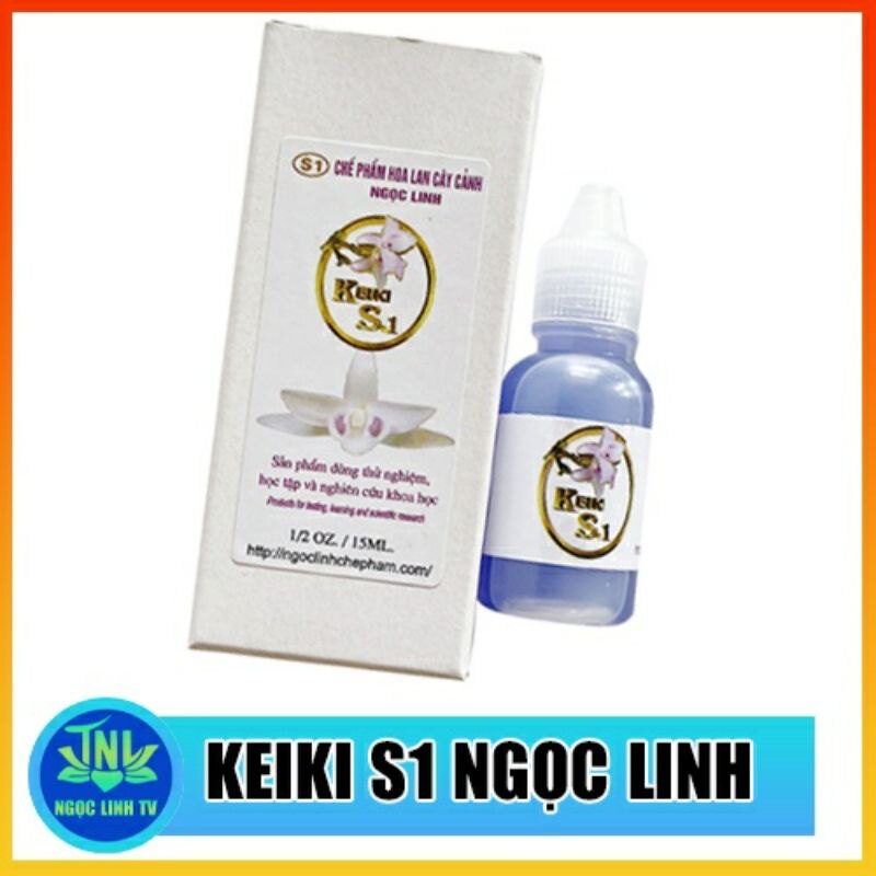 Kie ki s1 ngọc linh- kích mầm từ cuống hoa