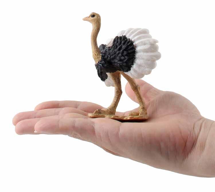 Children's Science and Education Cognitive Bird Model Simulation African Ostrich Solid Bird Farm Static Ornaments PVC Miniature Collection Toys Educational Kids Toy Toys for Boys Toys for Girls