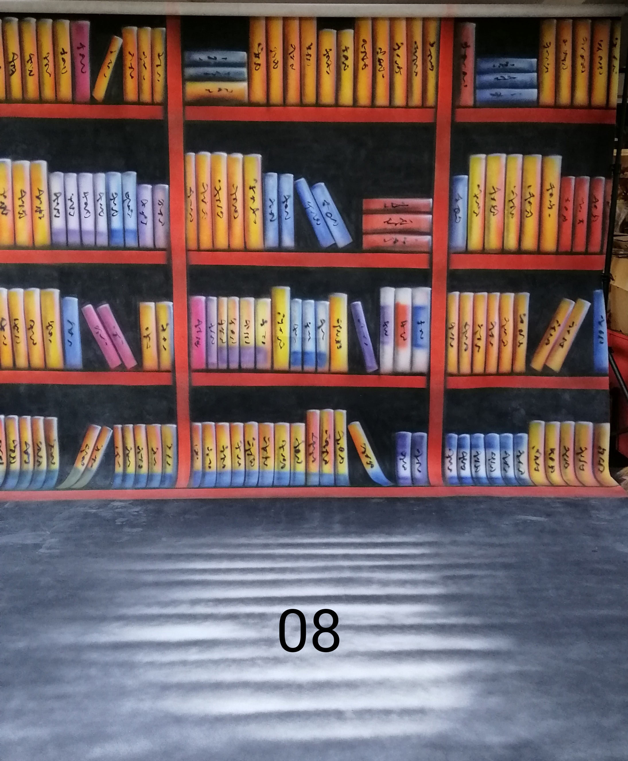 3m X 6m 08 Bookshelf Backdrop Studio Photography Outdoor Photo Background 10x Ft Lazada