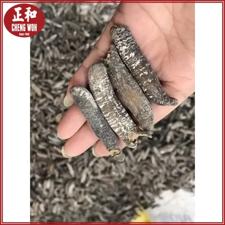 Sandfish Sea Cucumber 100g 20 25 Pieces Ç§å Æµ·å Lazada