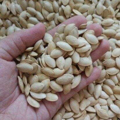 HẠT BÍ TA RANG SẴN ( TÚI 500G)