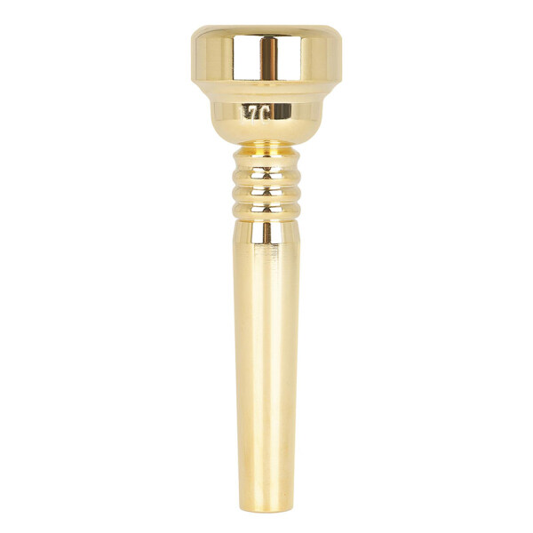 BNMUSIC Trumpet Mouthpiece, 17C Gold Plated Brass Trumpet Mouthpiece Malaysia