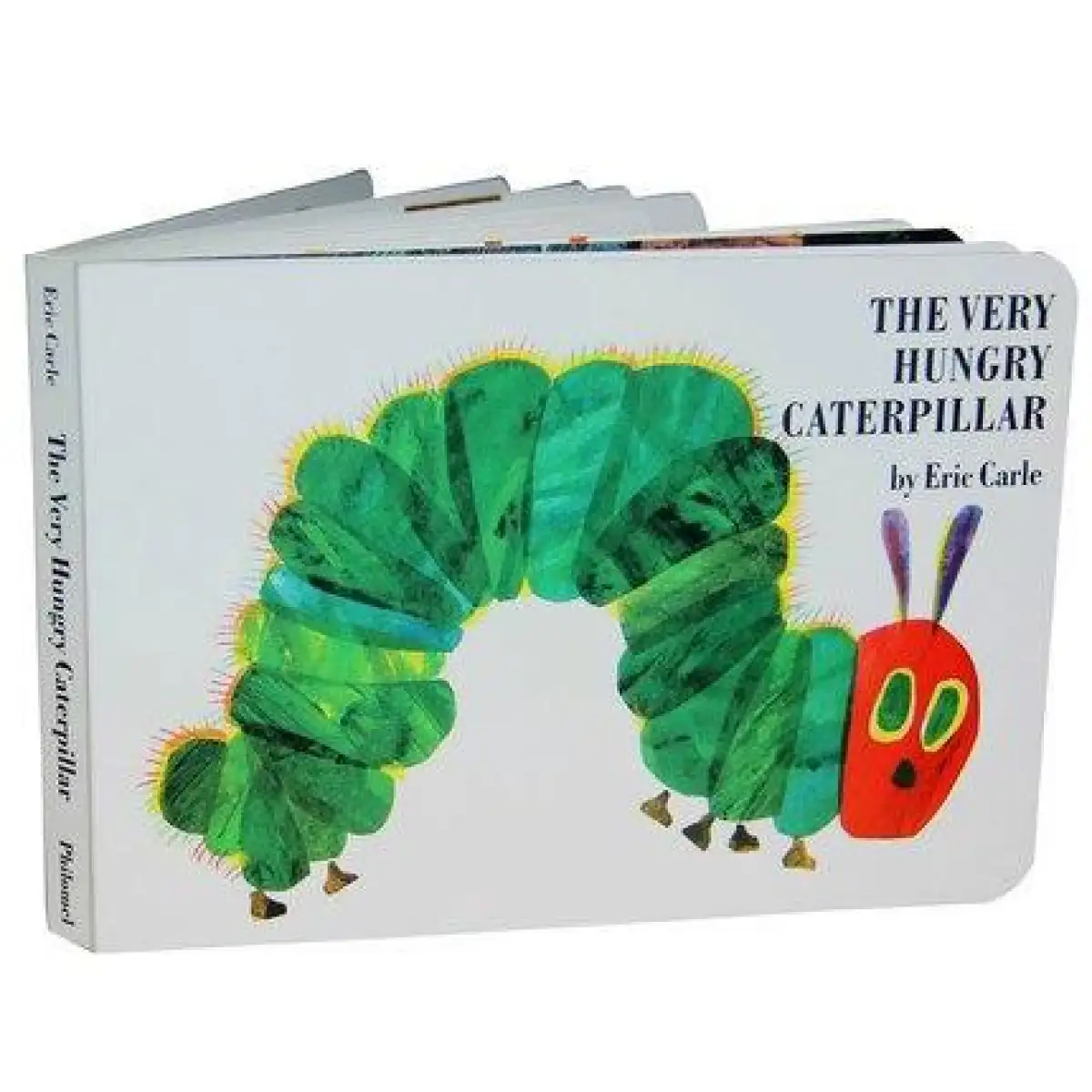 caterpillar learning toy