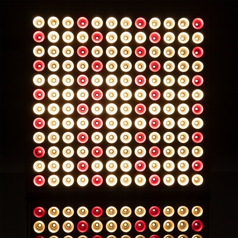 8000W Plant Growing Lights Led Grow Light Full Spectrum 6000W Grow Lights for Indoor Warm White Grow Lamp Hydroponic Greenhouse Grow Tent Light