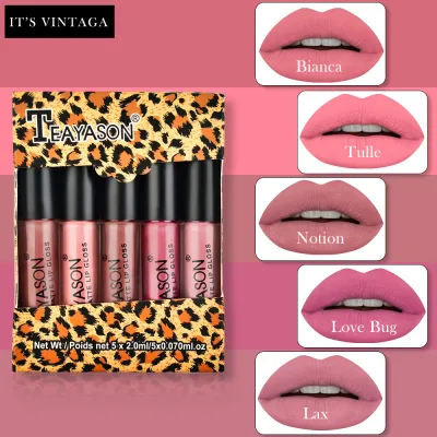 Rose Mist Lipstick Set Easy To Color Long Lasting Matte Lipstick Beauty 25ml
