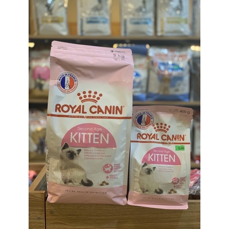 Royal Canin Kitten 36 ( mèo con 4-12 tháng )
