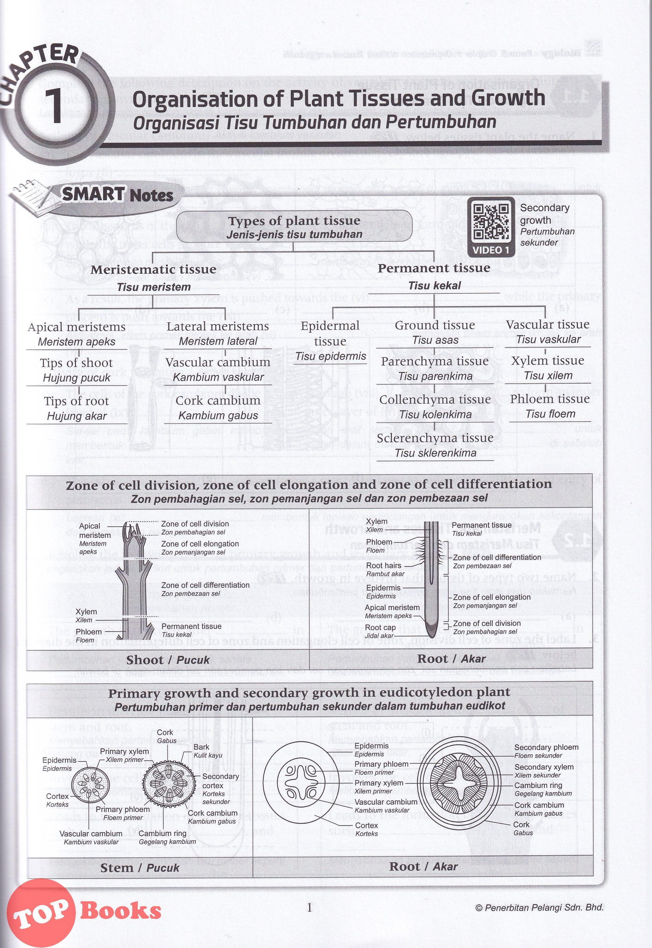 Topbooks Pelangi Top Class Biology Form 5 Kssm Dwibahasa 2021 Lazada