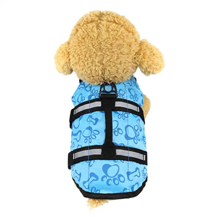 doggie swim vest