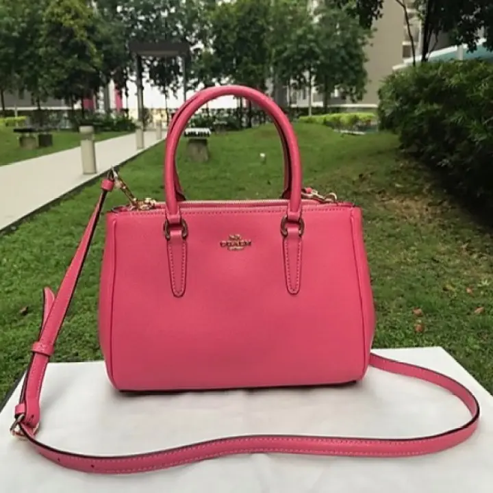 mini surrey carryall coach