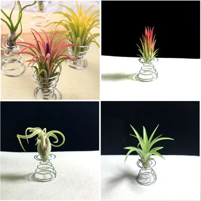 YKS 10pcs Metal Air Plant Stand Container Holder Tabletop Plant Display Rack Vase