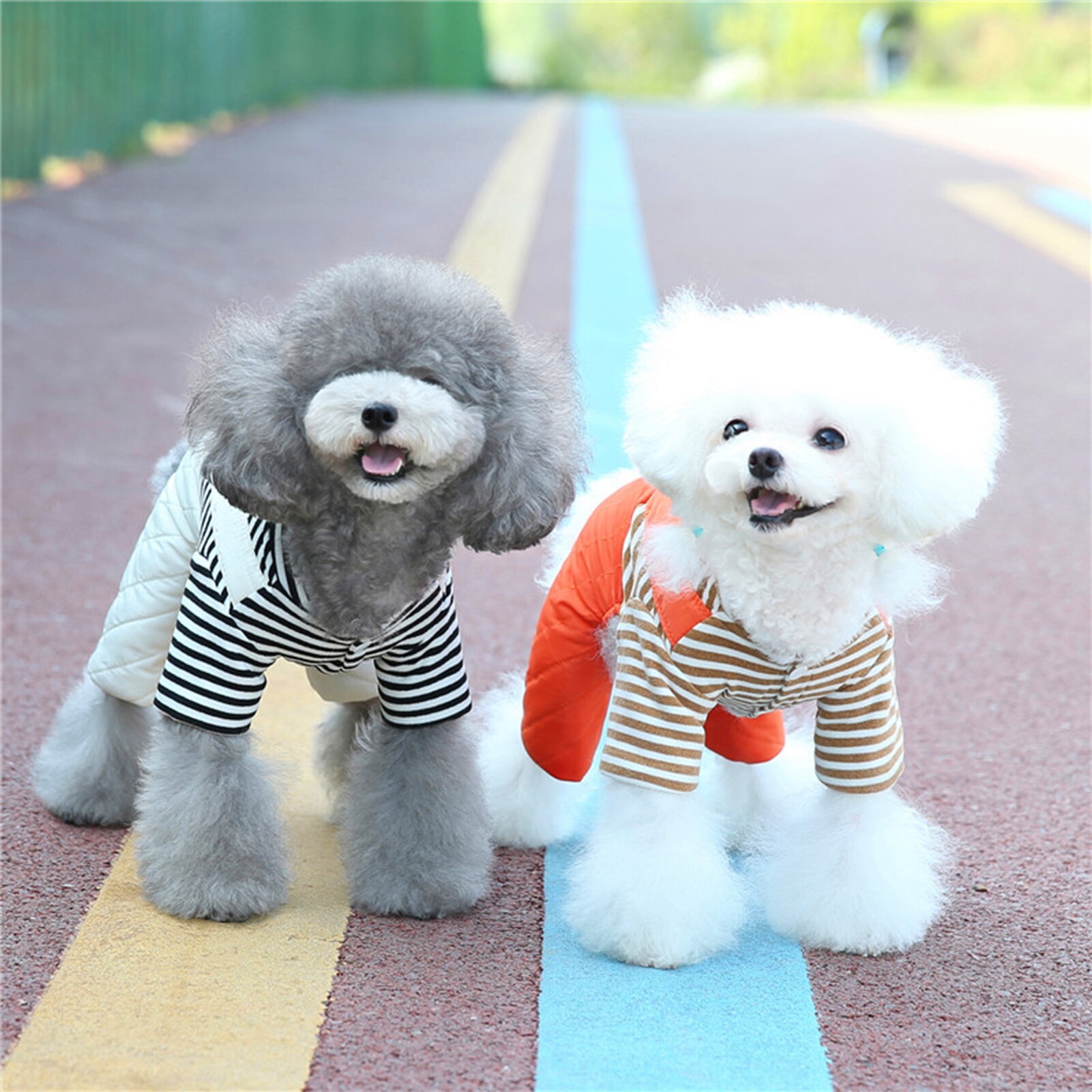 Pet Jumpsuit Super Soft Button Closure Cartoon Design Stripe Pattern Windproof Keep Warm Acrylic Fibers Winter Warm Four-Legged Pet Clothing with Bear Decor Pet Supplies