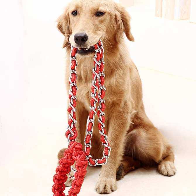 rope leads for large dogs