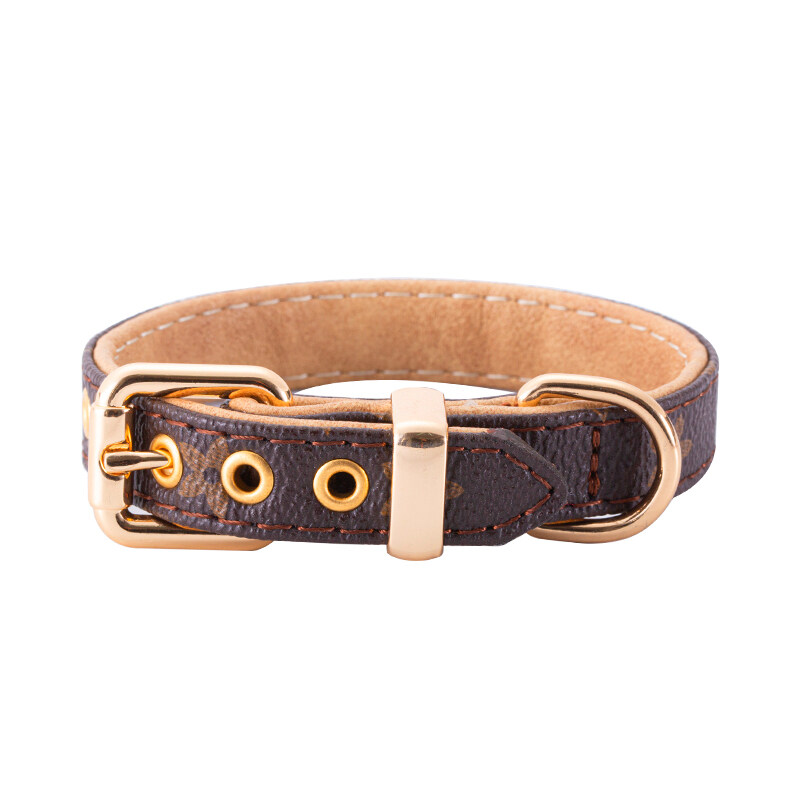 lv dog collar