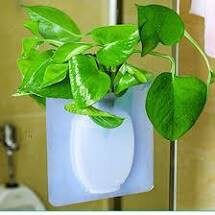 Bình hoa dán tường bằng silicon TIỆN DỤNG