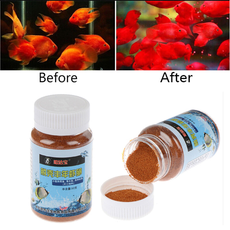 brine shrimp for fish feeding