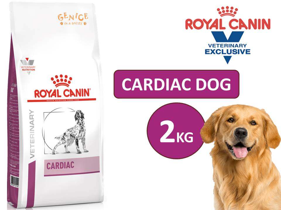 canine early cardiac dry dog food