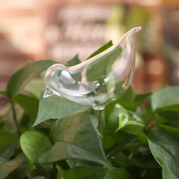 Glass Plant Flowers Water Feeder Self Watering Bird Swan Plant