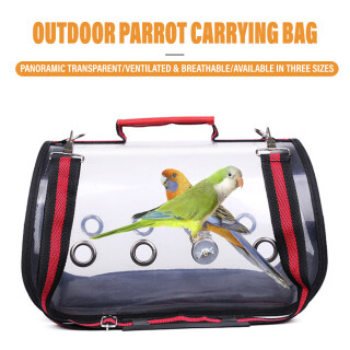 portable bird stand