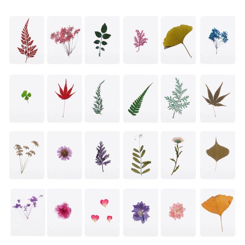 For Creative Mix Pressed Leaves Dried Plants Specimen Fillers Natural Dry Leaves for Art Craft DIY Epoxy Resin Jewelry D