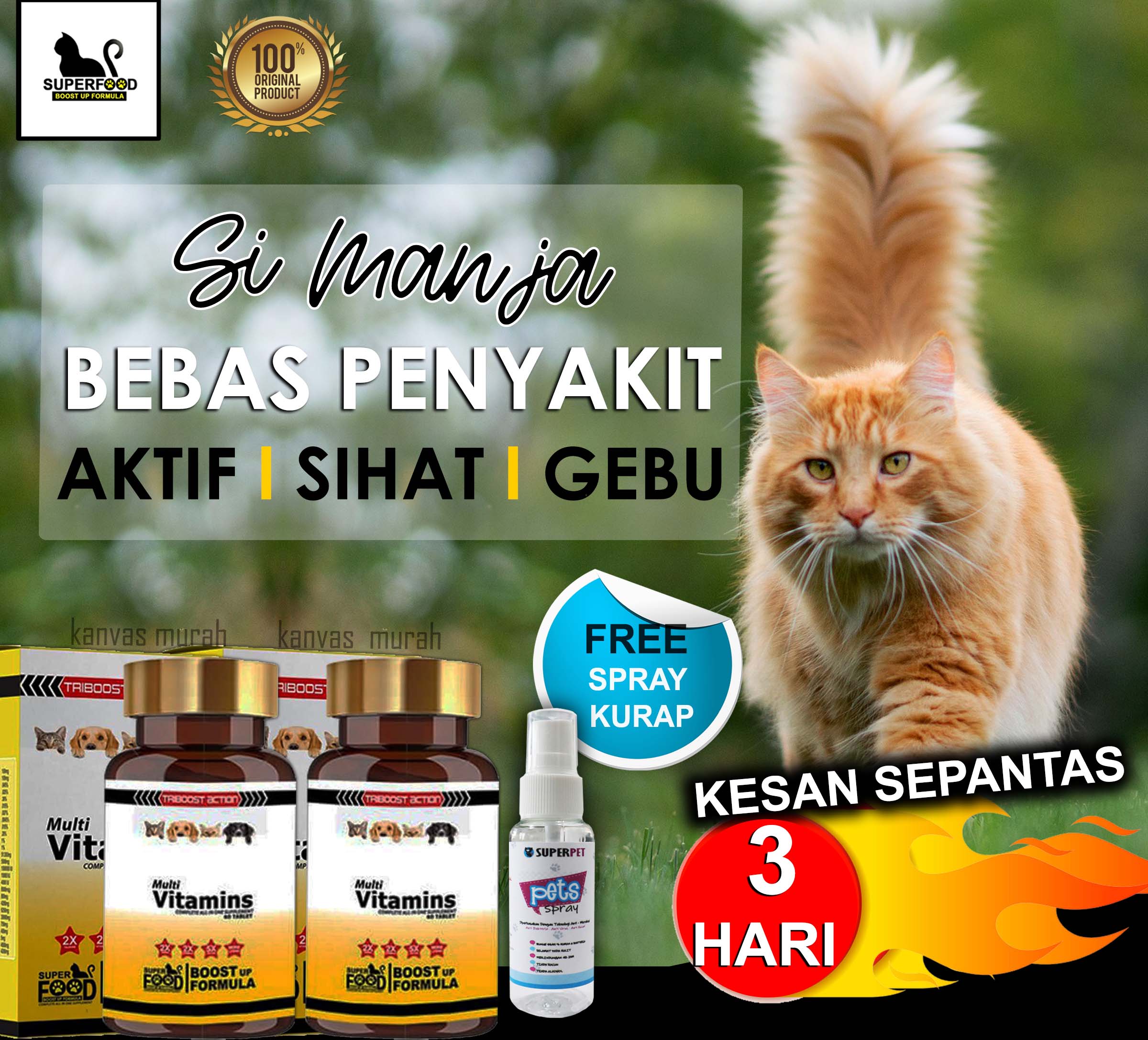 Ubat Selsema Kucing Doxycycline : Apabila Kucing Kucing Selsema Mrs A