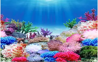Unduh 8400 Koleksi Background Aquarium 3D Gratis Terbaru